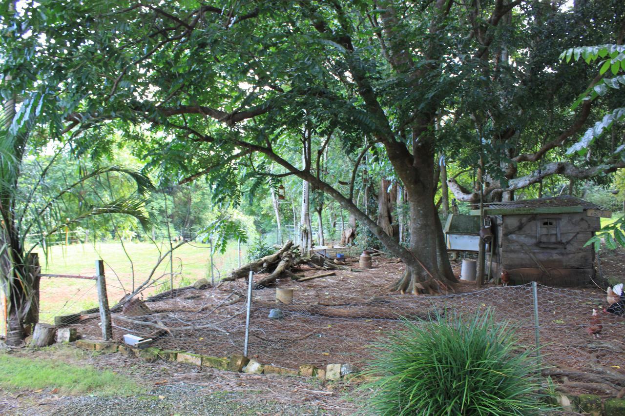 Alstonville Country Cottages מראה חיצוני תמונה